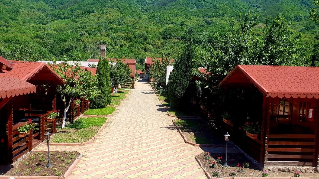 Отель Pensiunea Casa Ecologica Бэиле-Еркулане-4