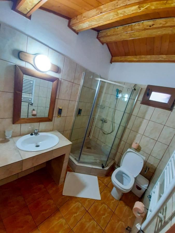 Отель Pensiunea Casa Ecologica Бэиле-Еркулане