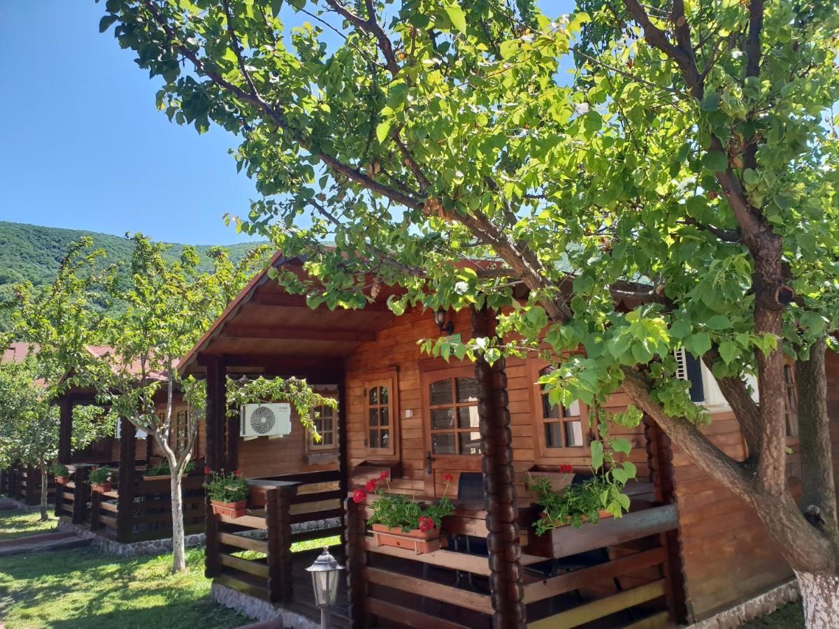 Отель Pensiunea Casa Ecologica Бэиле-Еркулане