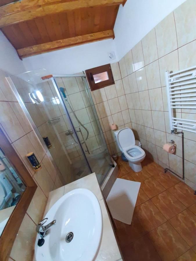 Отель Pensiunea Casa Ecologica Бэиле-Еркулане-15