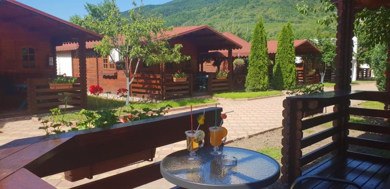 Отель Pensiunea Casa Ecologica Бэиле-Еркулане-18