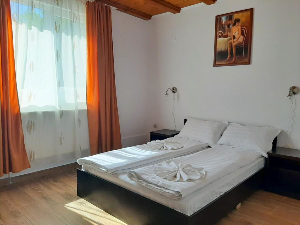 Отель Pensiunea Casa Ecologica Бэиле-Еркулане