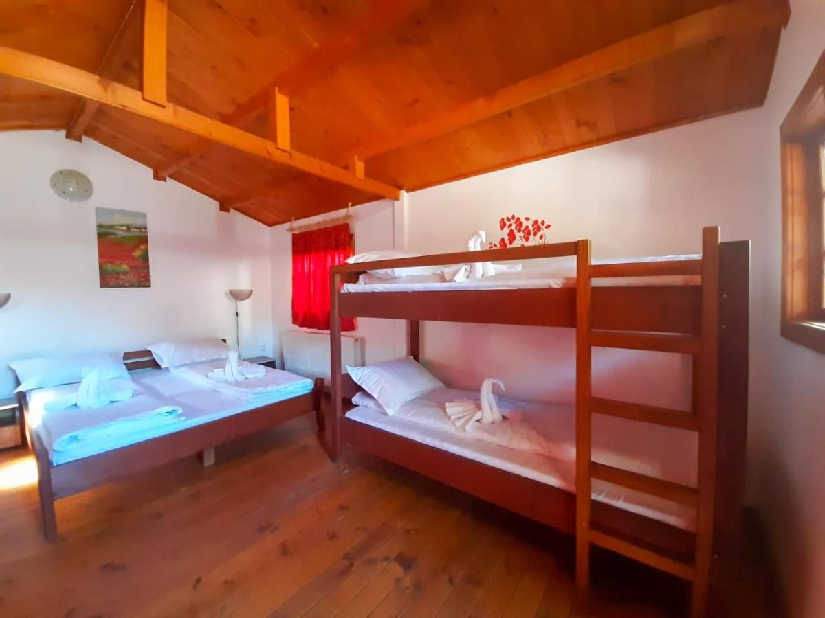 Отель Pensiunea Casa Ecologica Бэиле-Еркулане