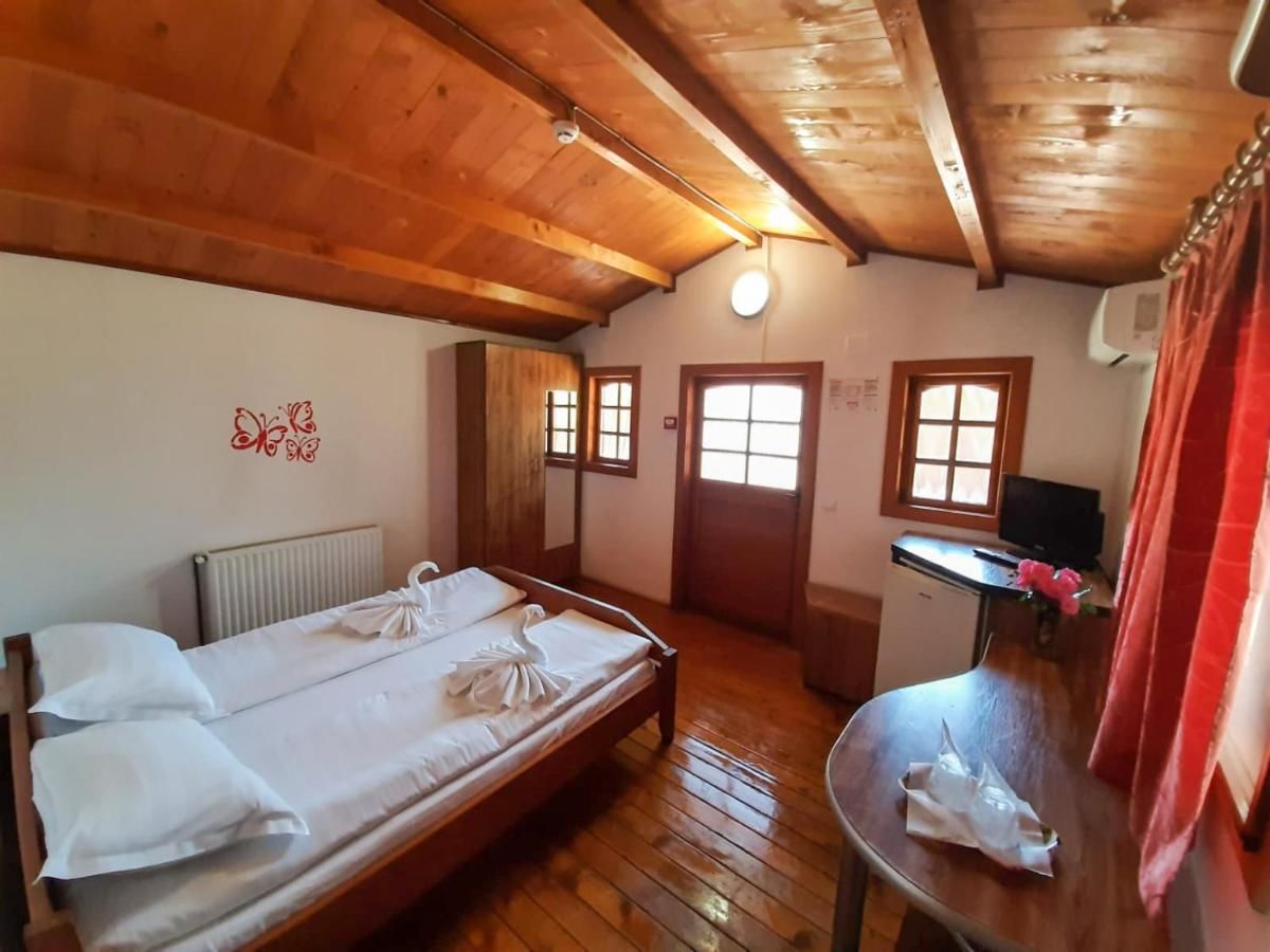 Отель Pensiunea Casa Ecologica Бэиле-Еркулане-44