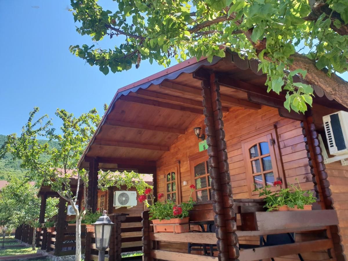 Отель Pensiunea Casa Ecologica Бэиле-Еркулане