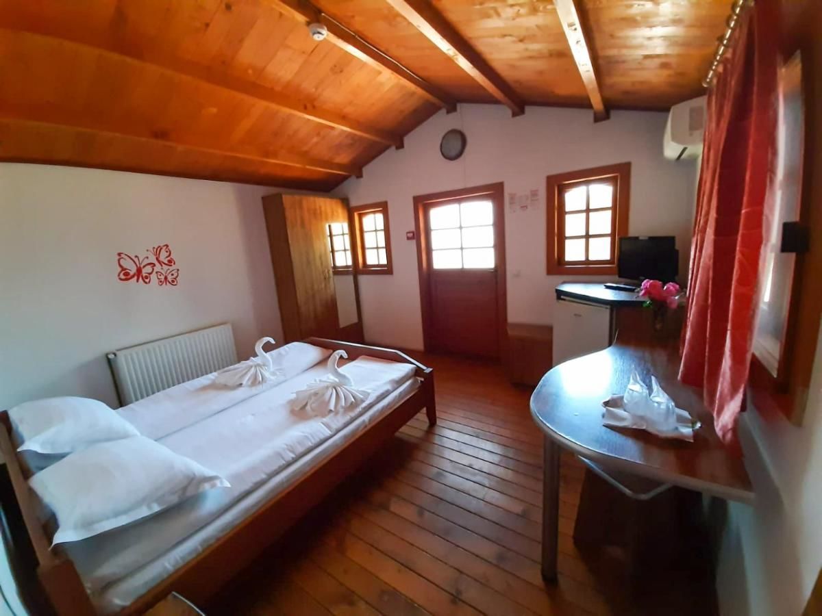 Отель Pensiunea Casa Ecologica Бэиле-Еркулане-46