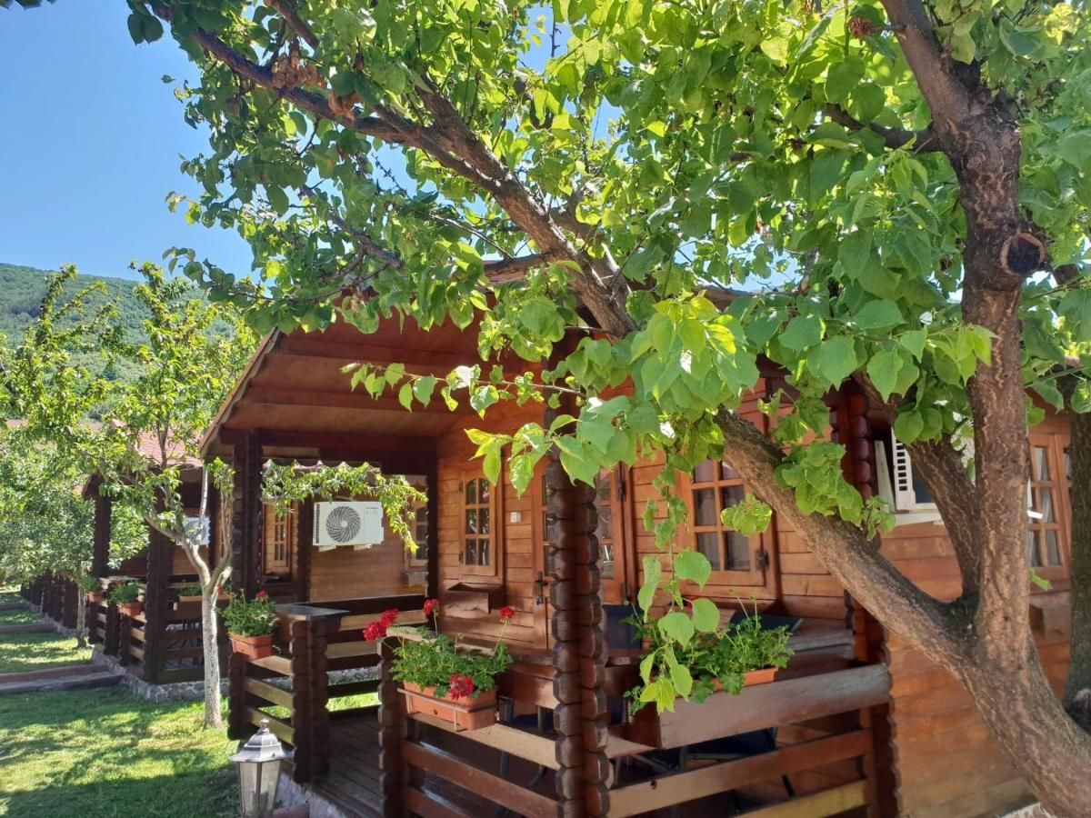 Отель Pensiunea Casa Ecologica Бэиле-Еркулане-48
