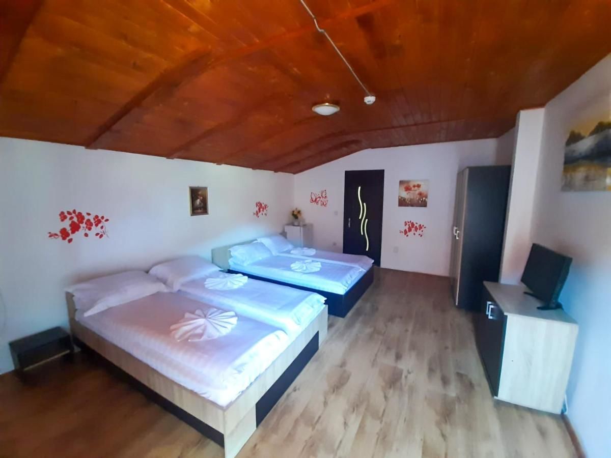 Отель Pensiunea Casa Ecologica Бэиле-Еркулане