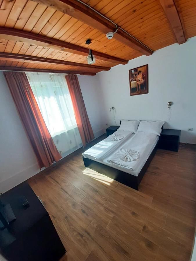 Отель Pensiunea Casa Ecologica Бэиле-Еркулане